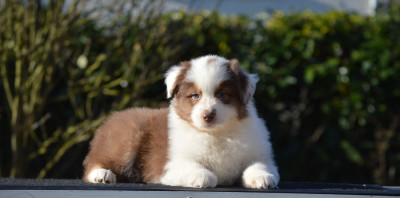 AT MY MOST BEAUTIFUL